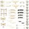 36 Pcs Pearl Brooch Pins Sweater Shawl Clip Neckline Safety Pin Faux Rhinestones Brooches for Women Clothing Dress Pants Skirt Waist Decoration Accessories